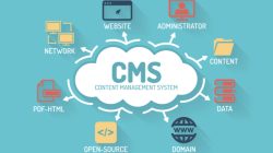 Unlocking the Potential of CMS: Key Features and Benefits