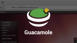 8 Easy Steps to Install Guacamole on Ubuntu