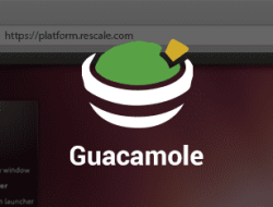 8 Easy Steps to Install Guacamole on Ubuntu